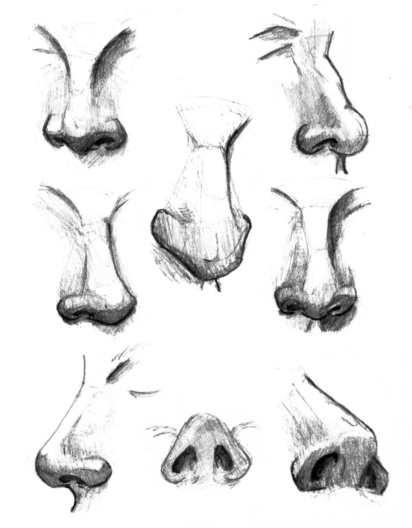 Noses